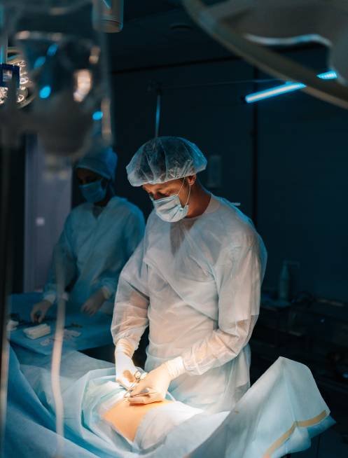 Biografía de [nombre]