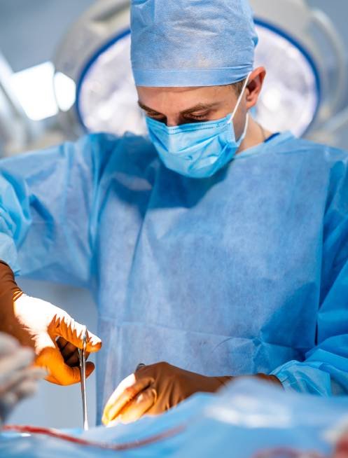 Biografía de [nombre]