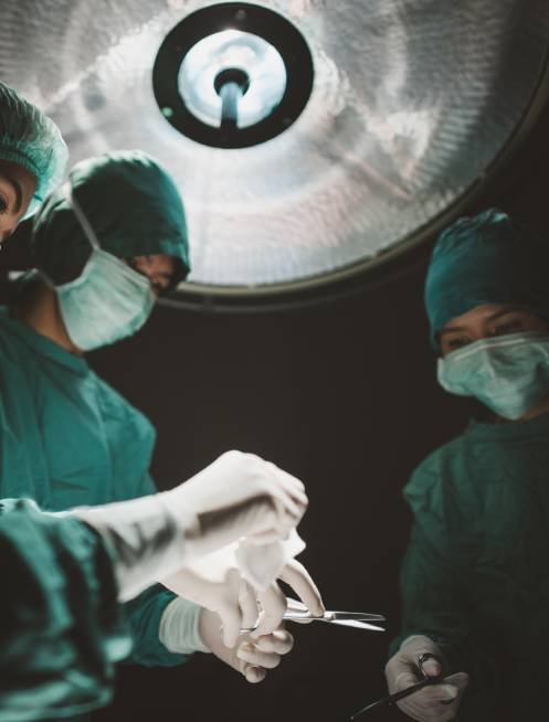 Biografía de [nombre]